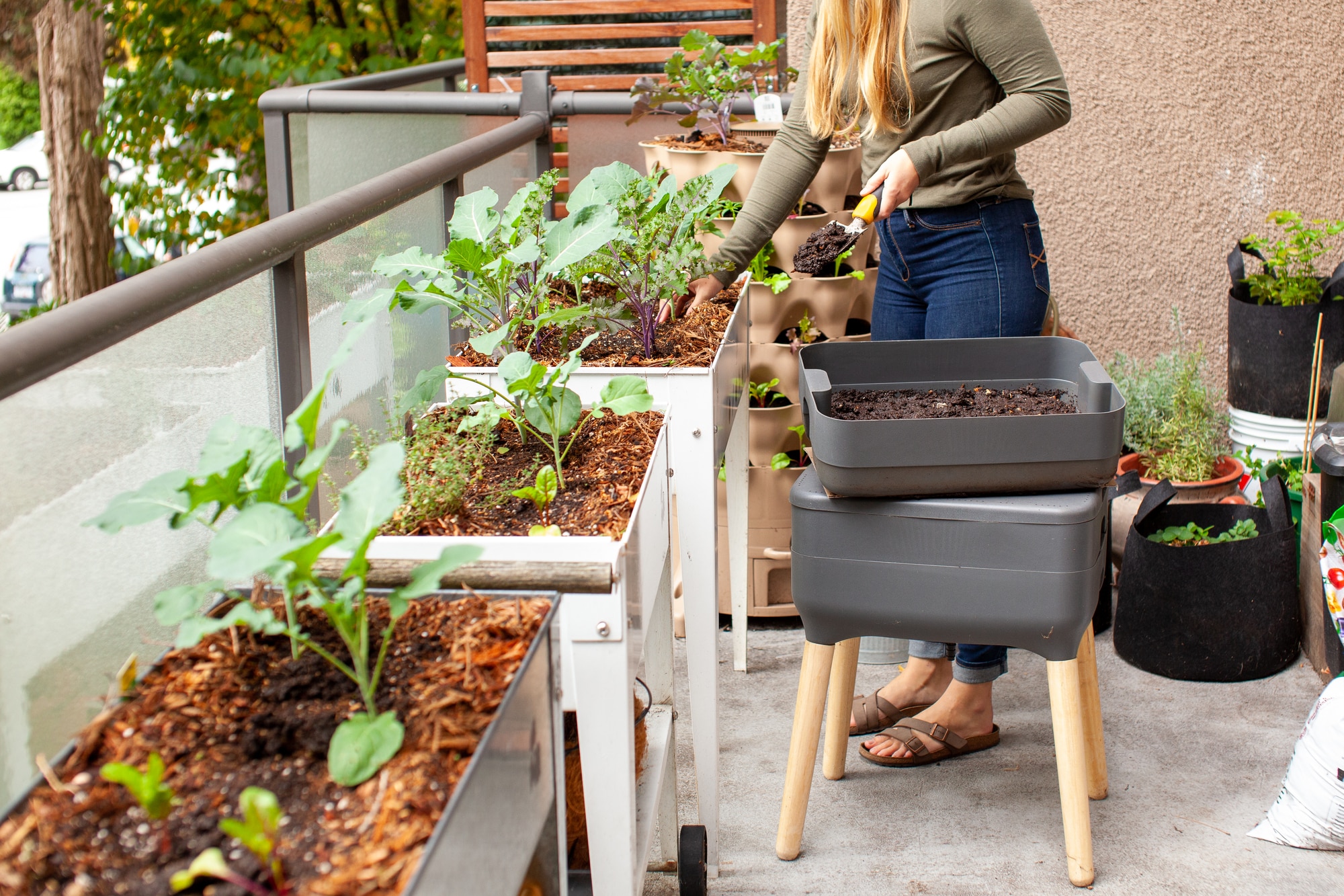 Frau füllt auf dem Balkon Wurmhumus aus einem grauen Etagen-Wurmkomposter in ein Hochbeet mit Kohl
