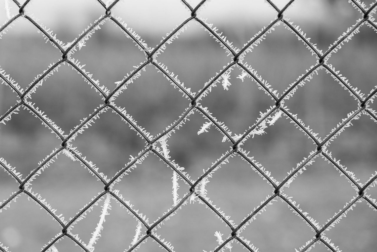 Maschendrahtzaun mit Raureif vor unscharfem Hintergrund