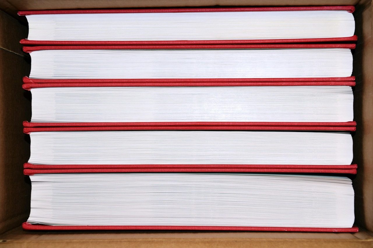 Schwere Bücher liegen gestapelt in einem Umzugskarton